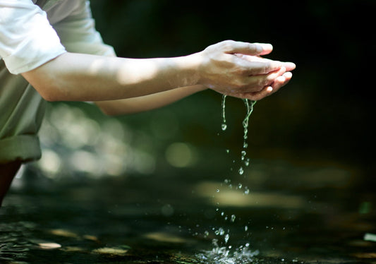 Pourquoi l’eau est précieuse et pourquoi il ne faut pas la gaspiller