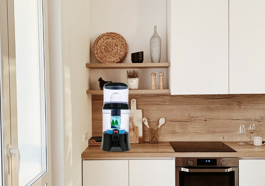 Choisir la bonne fontaine EVA : modèles PLC, BEP et NGB