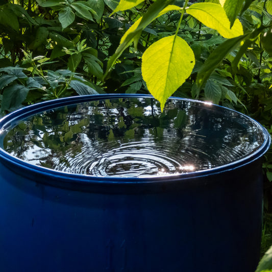 Comment financer un récupérateur d'eau de pluie ?
