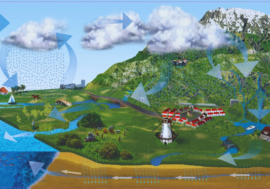Le cycle de l'eau
