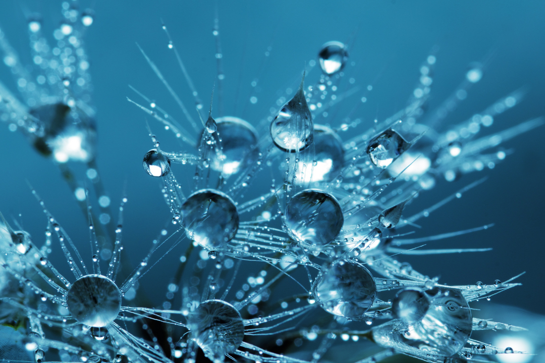 5 idées reçues sur l’eau potable : ce qu’il faut vraiment savoir