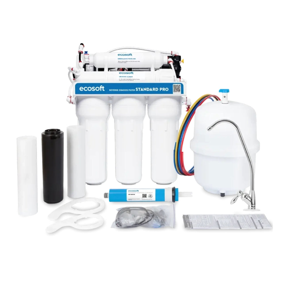 Filtre à osmose inverse Ecosoft Standard PRO avec minéralisation et pompe