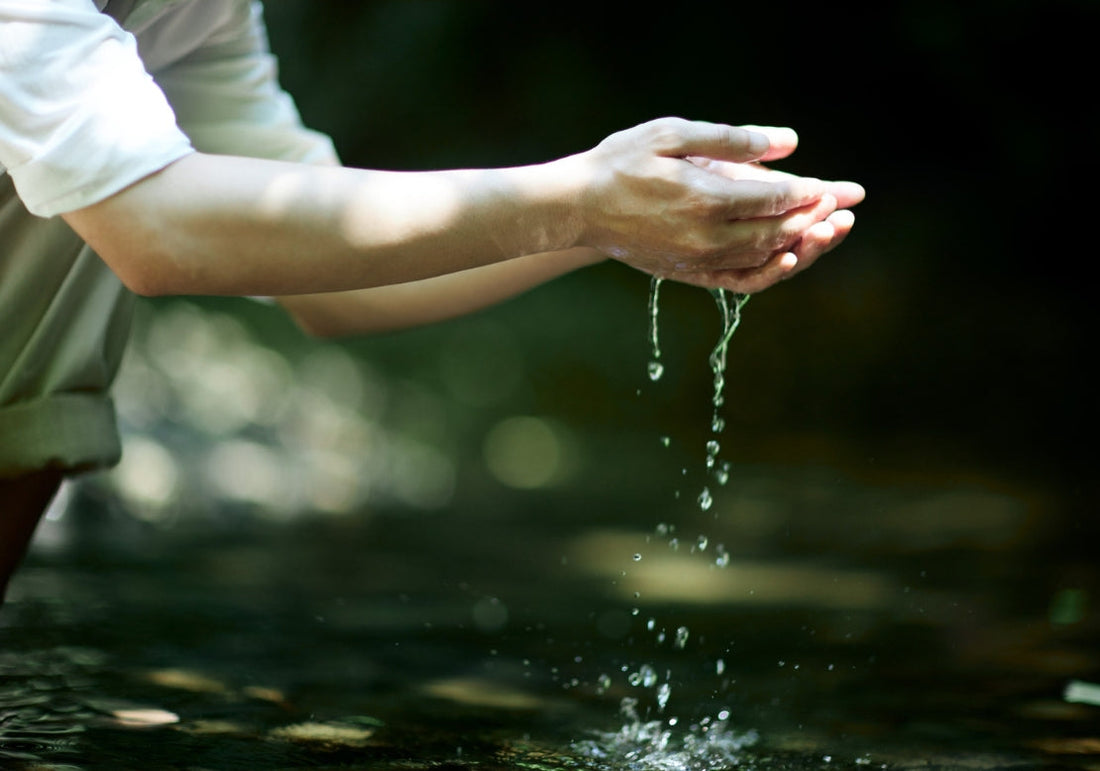 Pourquoi l’eau est précieuse et pourquoi il ne faut pas la gaspiller