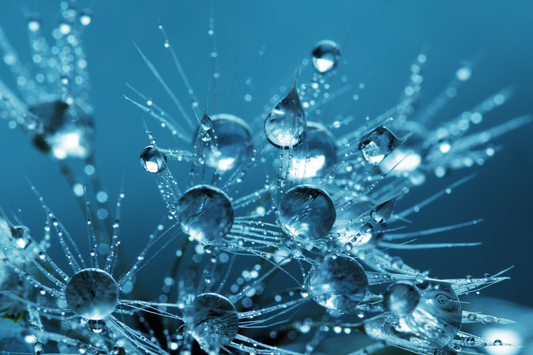 5 idées reçues sur l’eau potable : ce qu’il faut vraiment savoir