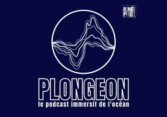 Plongeon : embarquez pour des expéditions scientifiques au cœur de l’océan