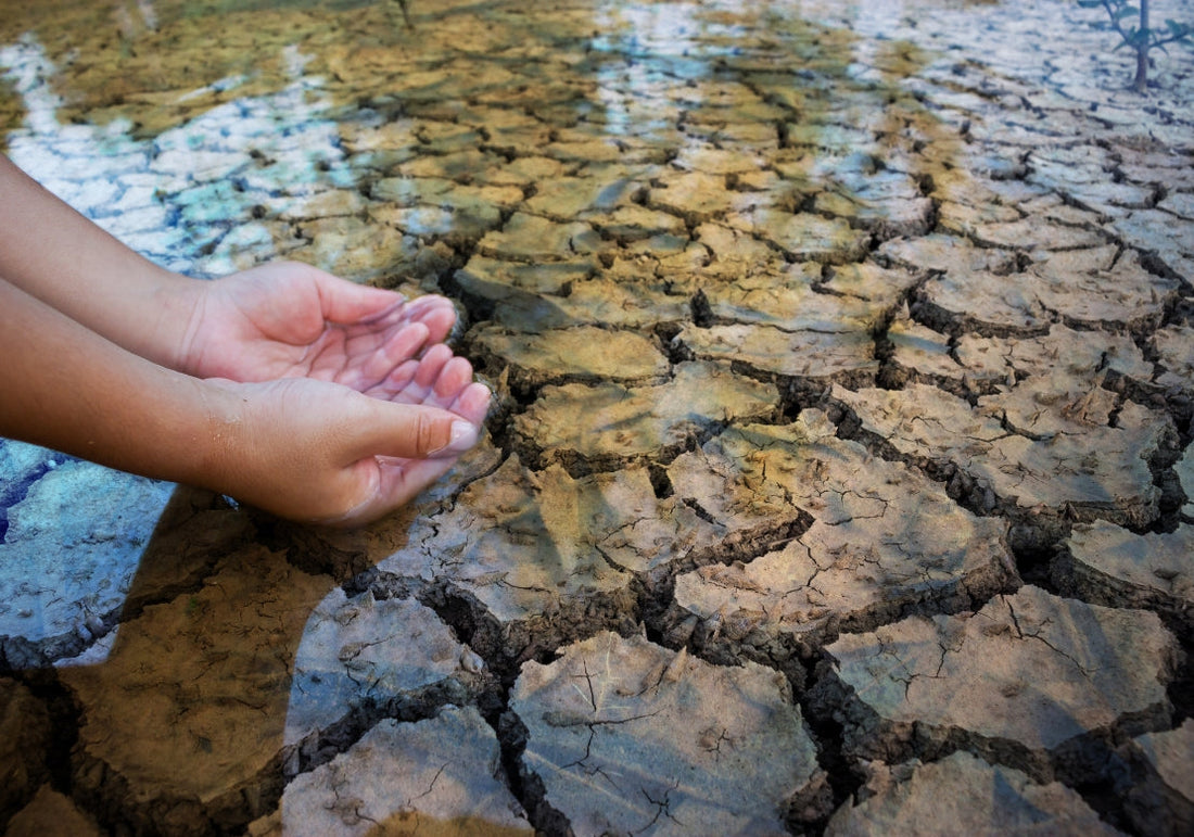 Sécheresse et restrictions d'eau : comprendre les niveaux d'alerte et réduire sa consommation