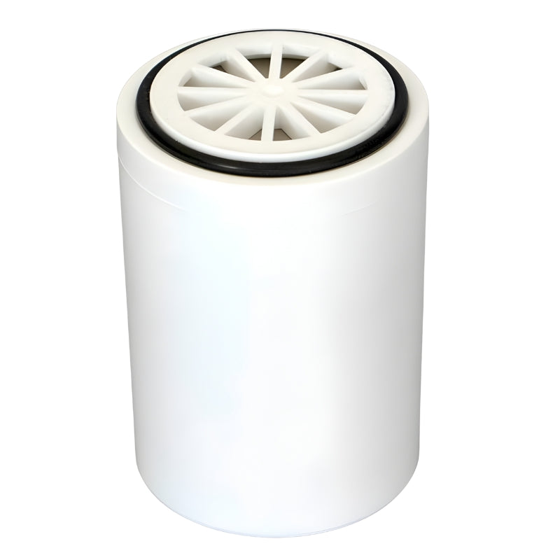 Cartouche pour purificateur d'eau bain-douche