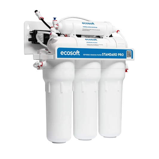 Filtre à osmose inverse Ecosoft Standard PRO avec minéralisation et pompe