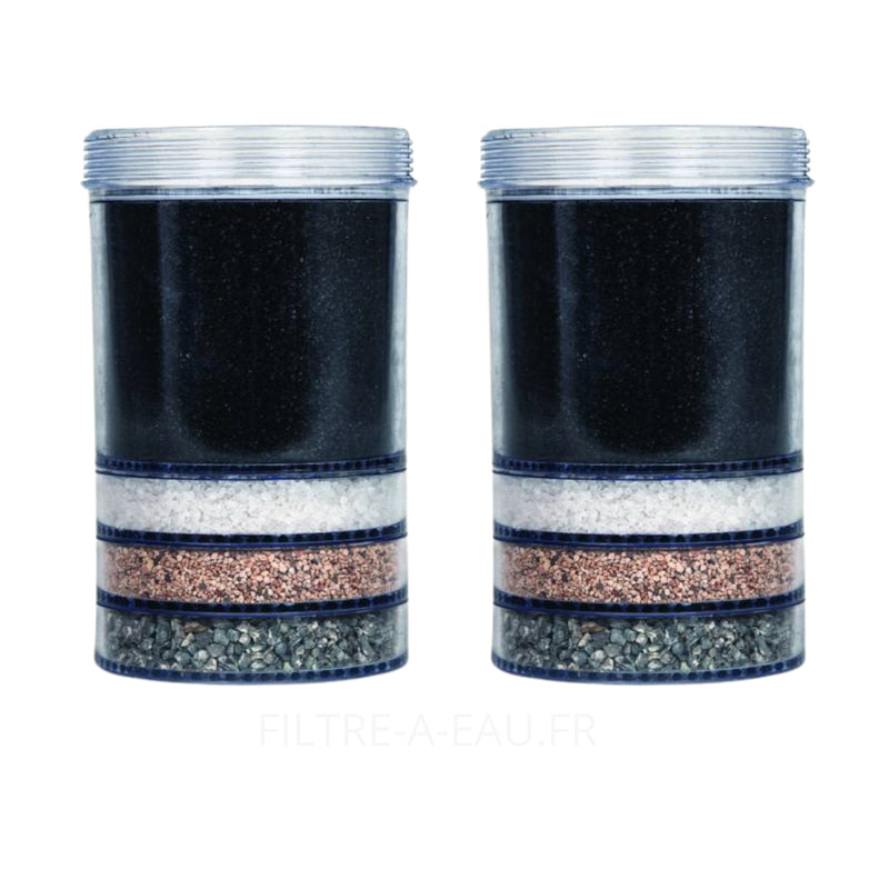 Lot de deux cartouches filtrantes pour fontaine à eau fontaine EVA 